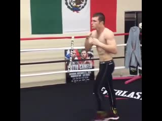 dried canelo alvarez. a fight with a shadow