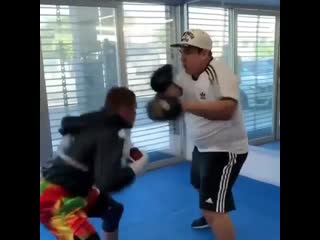 speed ​​work on the paws of canelo alvarez