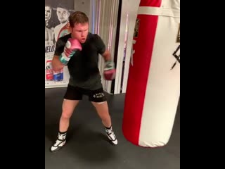 canelo alvarez returns to training after long layoff