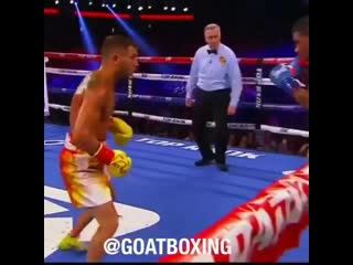 vasily lomachenko ups the ante against marriaga.