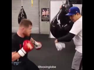 accented work by canelo alvarez