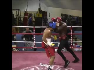 how david haye sparred with deontay wilder