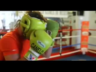 sparring canelo alvarez