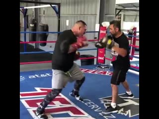 newly minted heavyweight champion andy ruiz works on his paws