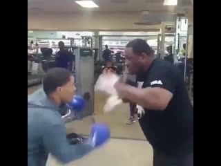 masterwork on paws by gervonta davis