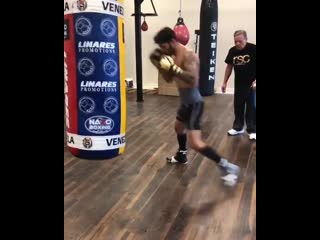 strength training jorge linares on a heavy bag