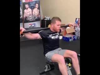 abs and upper shoulder workout by canelo alvarez