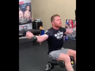 canelo alvarez abs workout