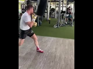 masterwork by canelo alvarez on the bag