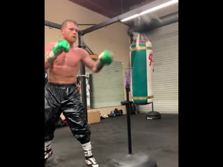 masterwork by canelo alvarez on the pneumatic bag