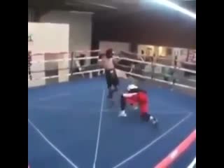 jorge linares knocked out his sparring partner.