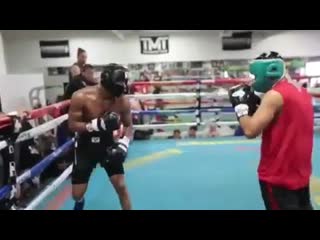 defense masterwork by devin haney in style and in floyd mayweather's boxing gym