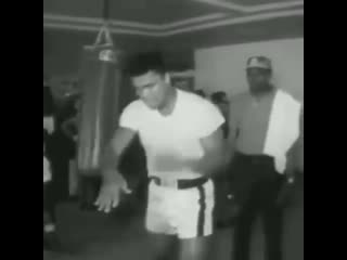 muhammad ali flies like a butterfly and stings like a bee