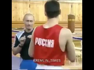 vladimir putin held boxing training with olympians