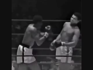 the fantastic reaction and defense of muhammad ali