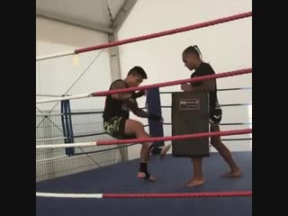 striking technique on the paws of a ufc fighter