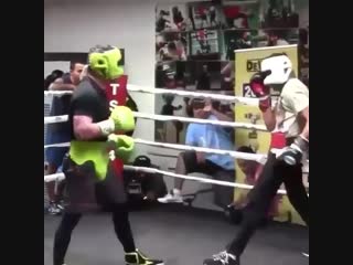 canelo alvarez outplays his sparring partners with one left hand