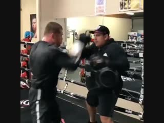 speed-strength work on the paws of canelo alvarez