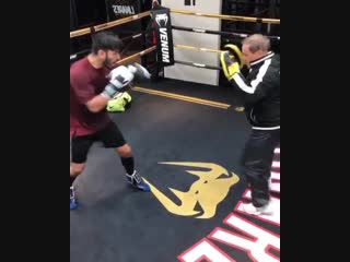 high-speed work of matador jorge linares on the paws