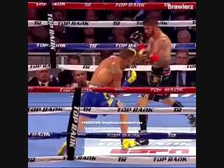 when vasily lomachenko is on a different level in boxing.