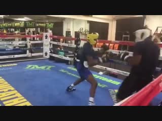 boxing sparring in the tmt gym floyd mayweather