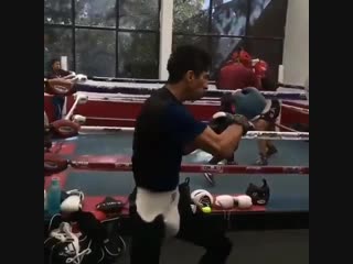 mexican power style paw work