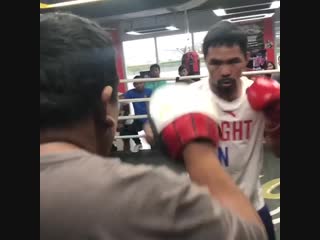 when manny pacquiao insults his trainer on his paws