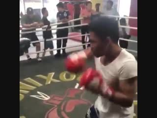 power work of manny pacquiao on the paws. preparing for the fight with broner