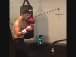 masterwork of a boxer on a pneumatic bag