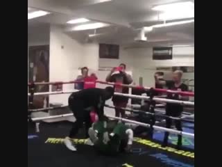 remember youth. floyd mayweather sr knocked down in training