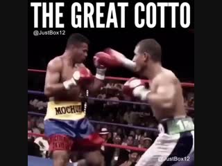 miguel cotto's big and heavy wins in boxing