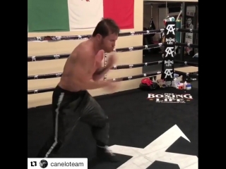 fantastic hand speed canelo alvarez before the fight with gennady golovkin.