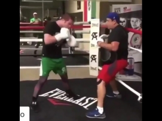 excellent hand speed canelo alvarez before the rematch with gennady golovkin.