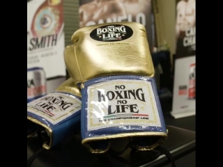 the boxing gym in mexico where canelo alvarez trains for his fight with golovkin.