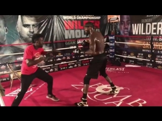 deontay wilder works on his paws.