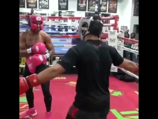 boxing hack at floyd mayweather jr.