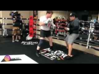 saul alvarez is preparing for a rematch with gennady golovkin.