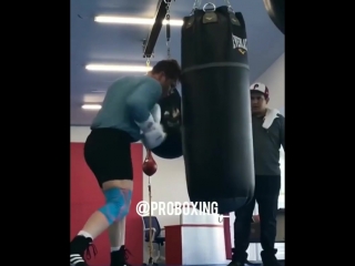 canelo alvarez is preparing for his second fight with gennady golovkin.