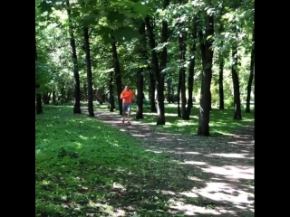 crossing in the park of grigory drozd.