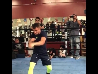 vasily lomachenko open training before the fight with jorge linares.