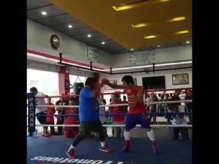 manny pacquiao at camp for his upcoming fight with world welterweight champion lucas matthysse on july 15 in malaysia.