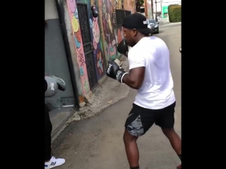 andre berto works on his paws and maintains his physical form.