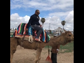 fernando vargas riding a camel.