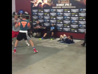 movement training by sergey kovalev.