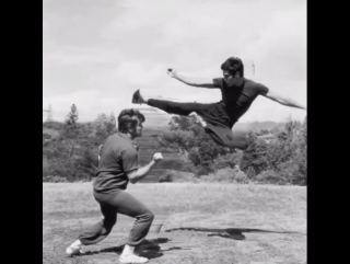 the phenomenal technique of bruce lee.