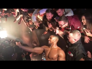 congratulations to the fans of anthony joshua after defeating takam.