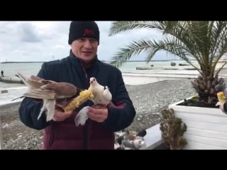 alexander povetkin and his brother feed pigeons in sochi.