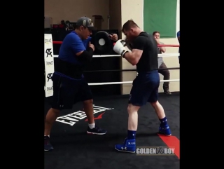 saul alvarez workout. preparing for the fight with ggg.