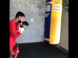 amir khan prepares for his return to the ring.