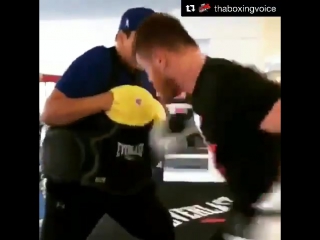 saul alvarez is preparing for gennady golovkin.